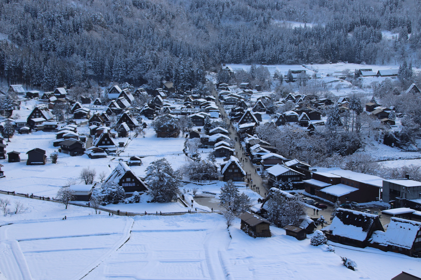 岐阜-白川合掌村